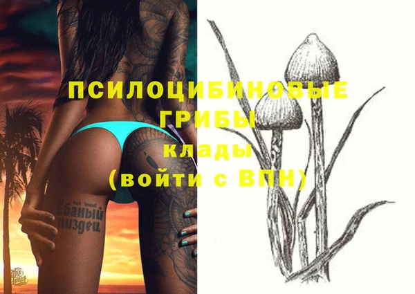 кокс Арсеньев