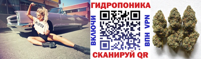 Бошки марихуана THC 21%  Купить закладки  Мещовск 